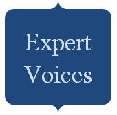 Expert Voices