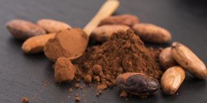 cocoa cacao