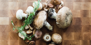 mushroom recipe