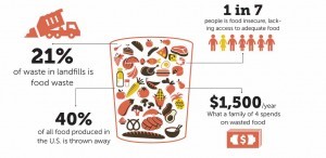 Landfills and cost