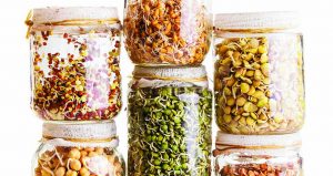 sprouted grains recipes