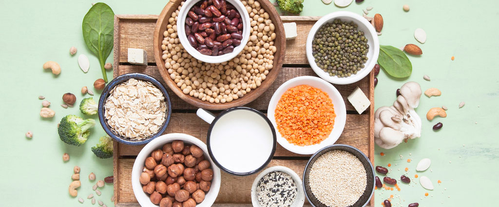 The Health Benefits of Plant Protein