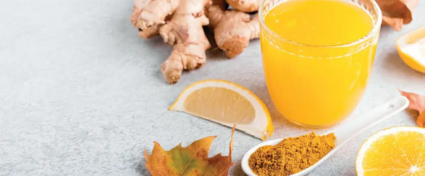 Fall Supplements