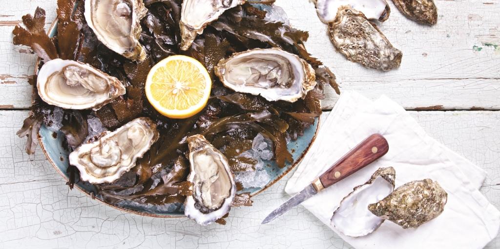 Oysters: How to Buy, Store and Prep