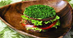 raw foods health