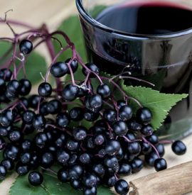 Elderberry: Your Herbal Cold And Flu Fighter