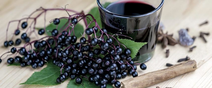 Elderberry: Your Herbal Cold & Flu Fighter