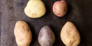 various types of potatos