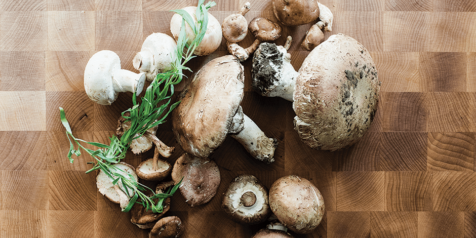 mushroom recipe