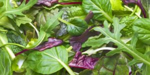 leafy greens recipes