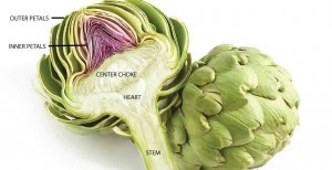 artichoke health