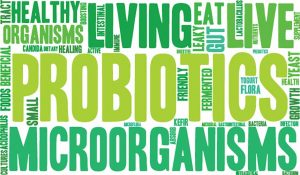 probiotics best time to take your vitamins
