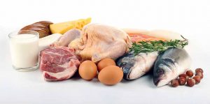 high-protein diet recipe