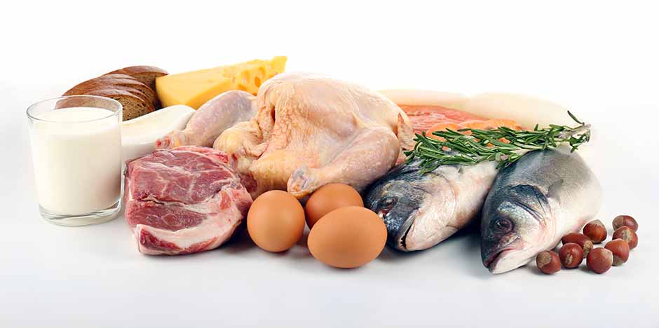 High-Protein Diet and Weight Loss