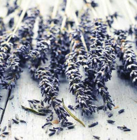 Living Well with Lavender