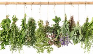 herbs