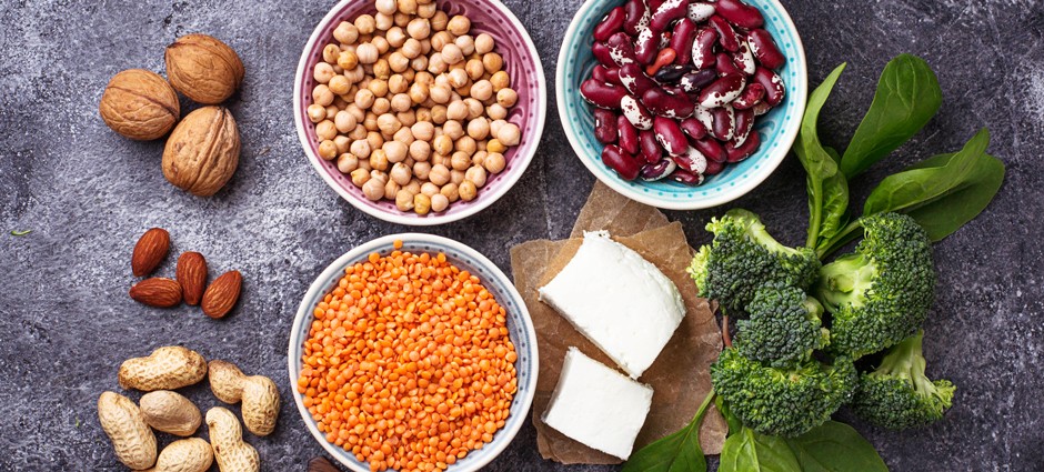 Protein and The Plant-Based Diet