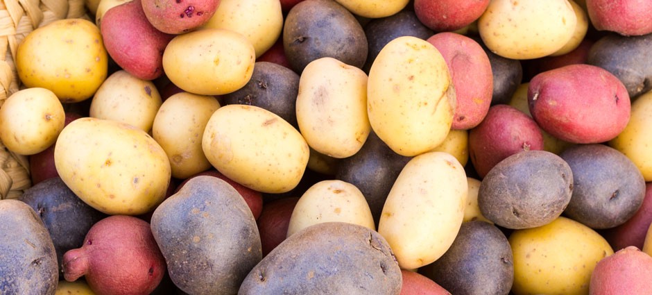 All Types of Tubers: A Guide to Potato Types