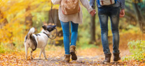 couple walking in the fall