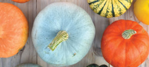 gourds