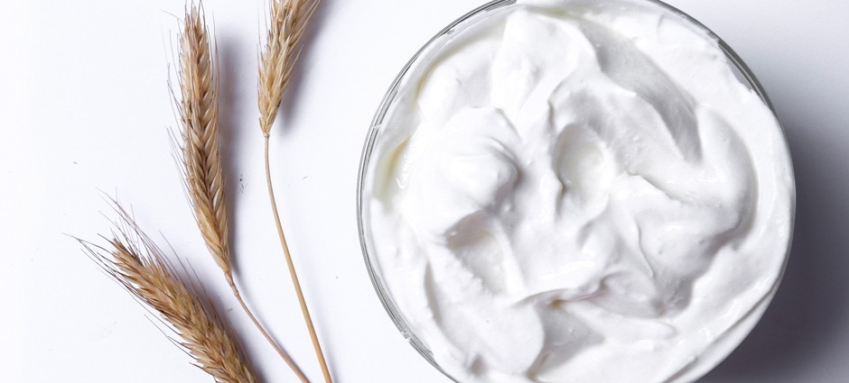 plant based yogurt