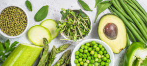 plant based diet