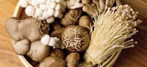 mushroom superfood