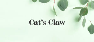cat's claw