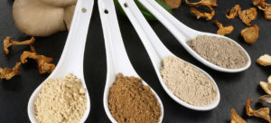 adaptogenic mushrooms
