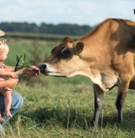 Meet the Dairy Farmers Behind Your Food