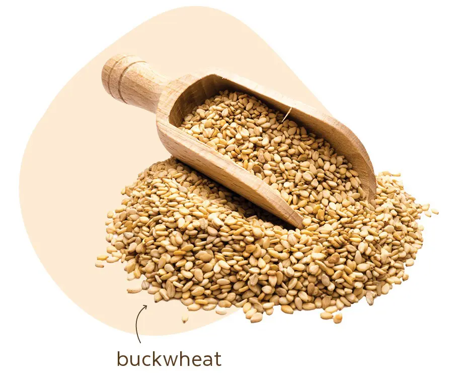 buckwheat