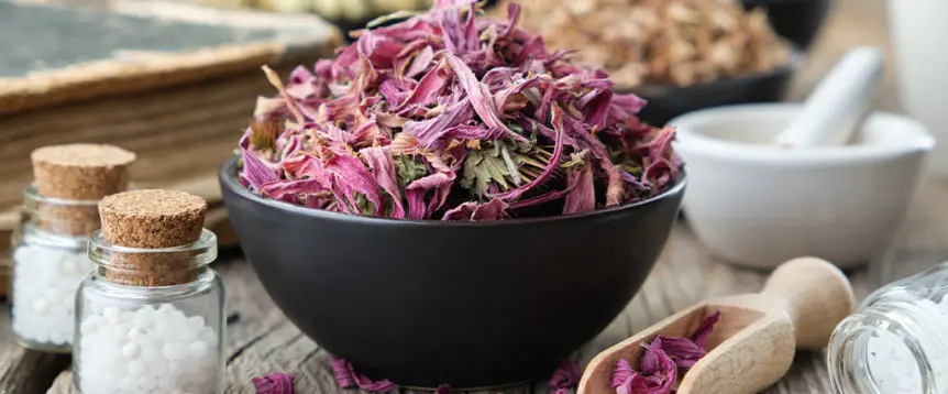 Immune-Boosting Herbs