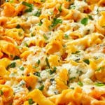 Buffalo Chicken & Blue Cheese Pasta Bake with Campanelle