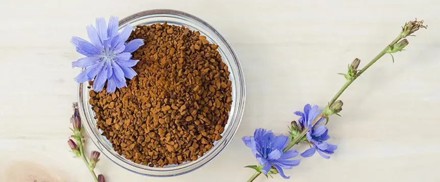 Inulin: Benefits & How to Add It to Your Diet