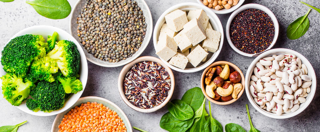 What is Plant Protein? - Live Naturally Magazine