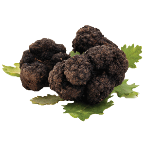 truffle mushrroms