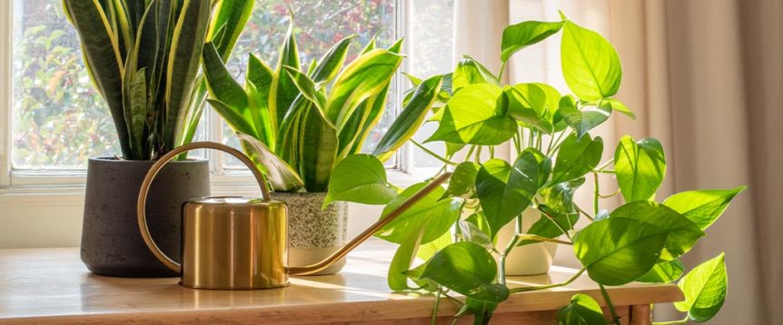 10 Tips for Clean Air in Your Home