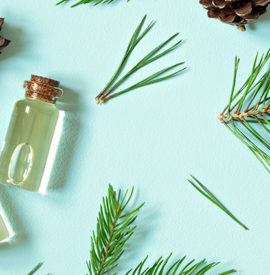 Makes Perfect Scents: The Science Behind Holiday Aromas